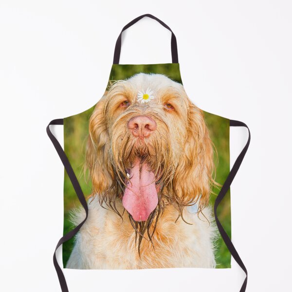 Item preview, Daisy loving Panting Spinone by heidiannemorris © designed and sold by FOLK ART FUSION by heidiannemorris.