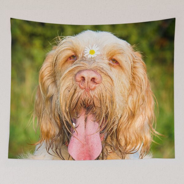 Item preview, Daisy loving Panting Spinone by heidiannemorris © designed and sold by FOLK ART FUSION by heidiannemorris.