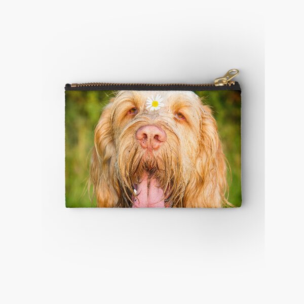 Item preview, Daisy loving Panting Spinone by heidiannemorris © designed and sold by FOLK ART FUSION by heidiannemorris.