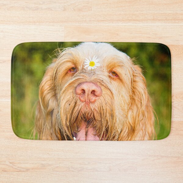 Item preview, Daisy loving Panting Spinone by heidiannemorris © designed and sold by FOLK ART FUSION by heidiannemorris.