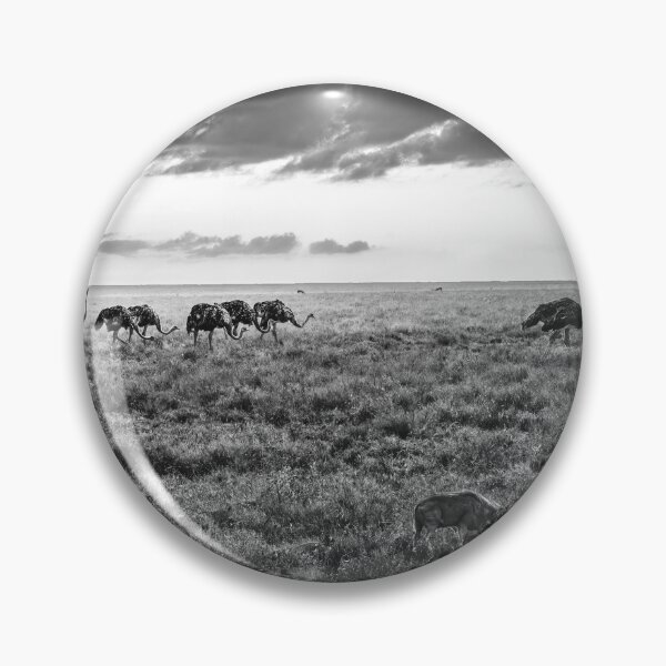 Item preview, Dusty Ostrich Parade In Black and White designed and sold by Kay Brewer.