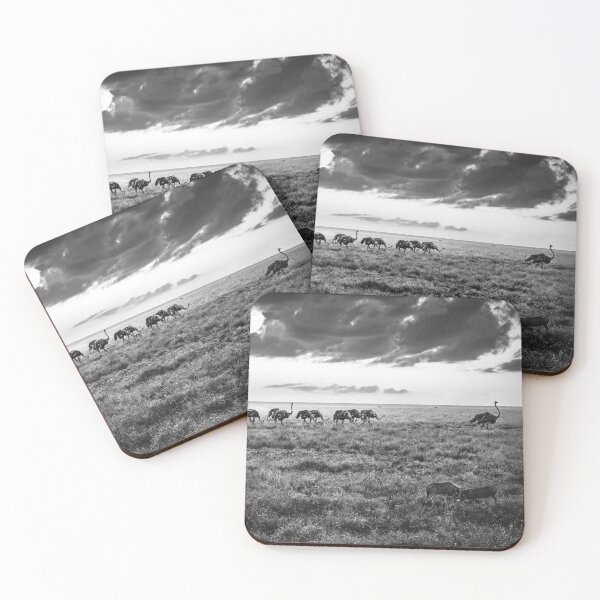 Item preview, Dusty Ostrich Parade In Black and White designed and sold by Kay Brewer.