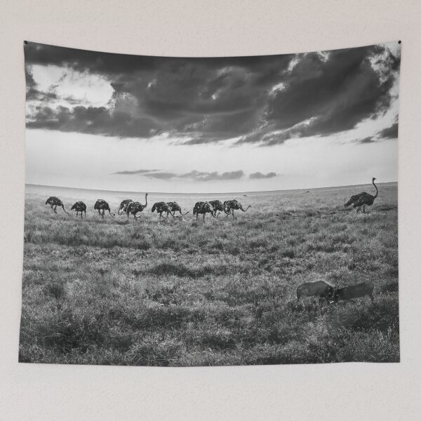 Item preview, Dusty Ostrich Parade In Black and White designed and sold by Kay Brewer.