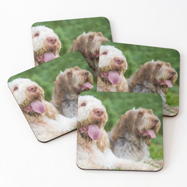 Item preview, Cute Spinone Pair Resting by heidiannemorris © designed and sold by FOLK ART FUSION by heidiannemorris.