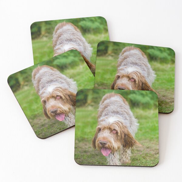 Item preview, Cute Gentle Brown Roan Spinone by heidiannemorris © designed and sold by FOLK ART FUSION by heidiannemorris.