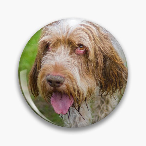 Item preview, Cute Gentle Brown Roan Spinone by heidiannemorris © designed and sold by FOLK ART FUSION by heidiannemorris.