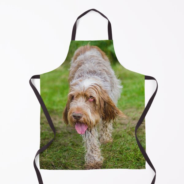 Item preview, Cute Gentle Brown Roan Spinone by heidiannemorris © designed and sold by FOLK ART FUSION by heidiannemorris.
