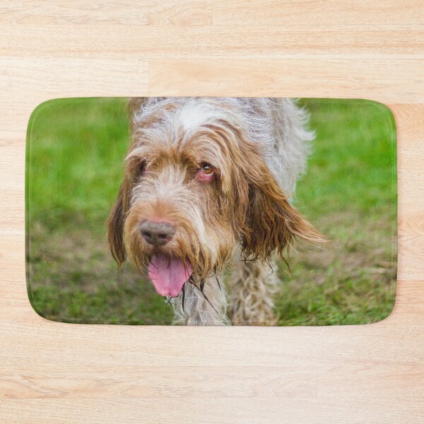 Item preview, Cute Gentle Brown Roan Spinone by heidiannemorris © designed and sold by FOLK ART FUSION by heidiannemorris.