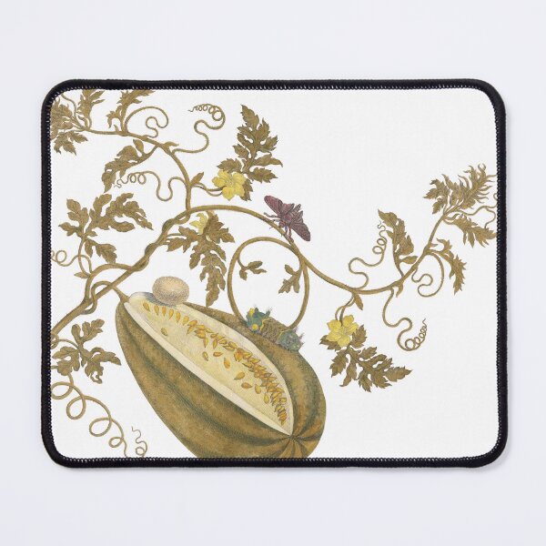 Item preview, Melon Vine & Moths Vintage Botanical Illustration designed and sold by newyorkwala.