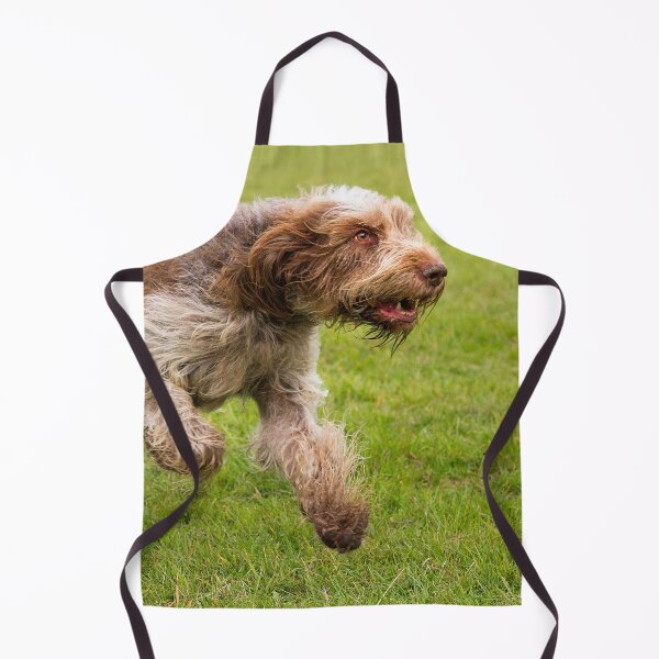 Item preview, Cute Brown Roan Spinone Running by heidiannemorris © designed and sold by FOLK ART FUSION by heidiannemorris.