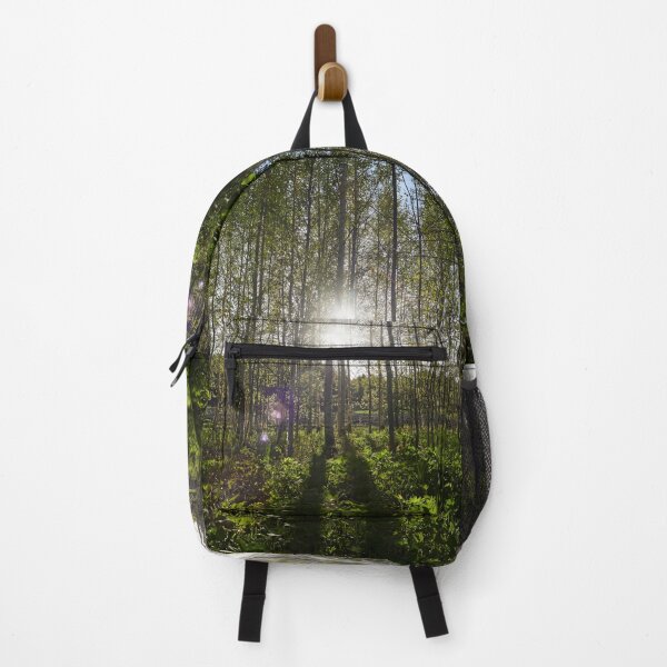 Item preview, Evening sun behind the spring birches designed and sold by Jouko Lehto Photography.