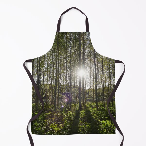 Item preview, Evening sun behind the spring birches designed and sold by Jouko Lehto Photography.