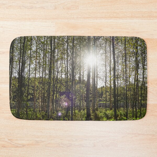 Item preview, Evening sun behind the spring birches designed and sold by Jouko Lehto Photography.
