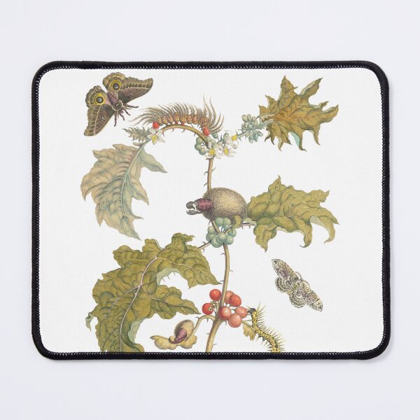 Item preview, Night Moths & Wild Berries Vintage Botanical Art designed and sold by newyorkwala.