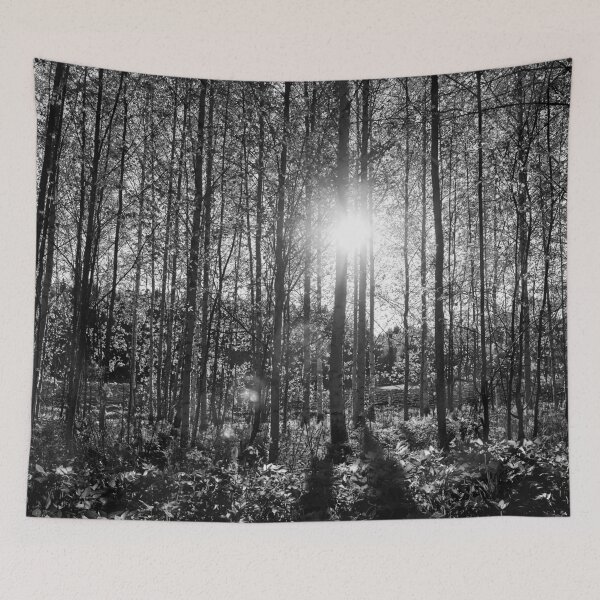 Item preview, Evening sun behind the spring birches bw designed and sold by Jouko Lehto Photography.