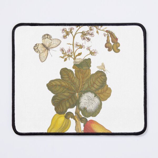 Item preview, Cashew Fruit & Moths Vintage Botanical Illustration designed and sold by newyorkwala.