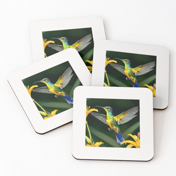 Item preview, Hummingbird Sylph-de-cauda-violeta (Aglaiocercus coelestis)#4 designed and sold by Helios Be. Lavsh.