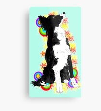 Border Color Metal Print