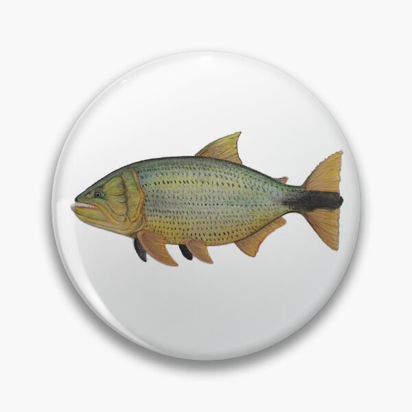 Item preview, Salminus maxillosus fish watercolor designed and sold by cadin.darte.