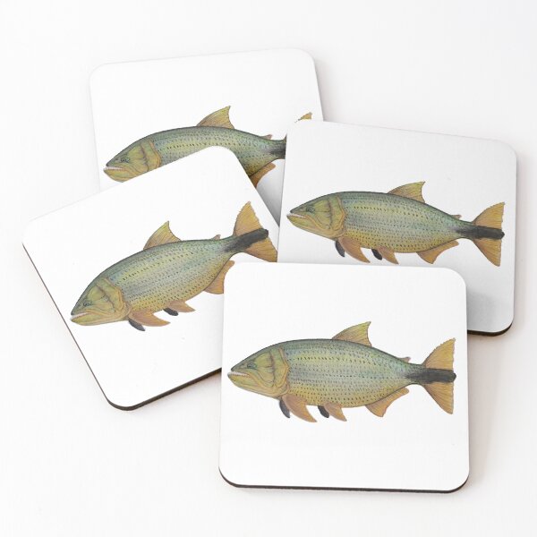 Item preview, Salminus maxillosus fish watercolor designed and sold by cadin.darte.