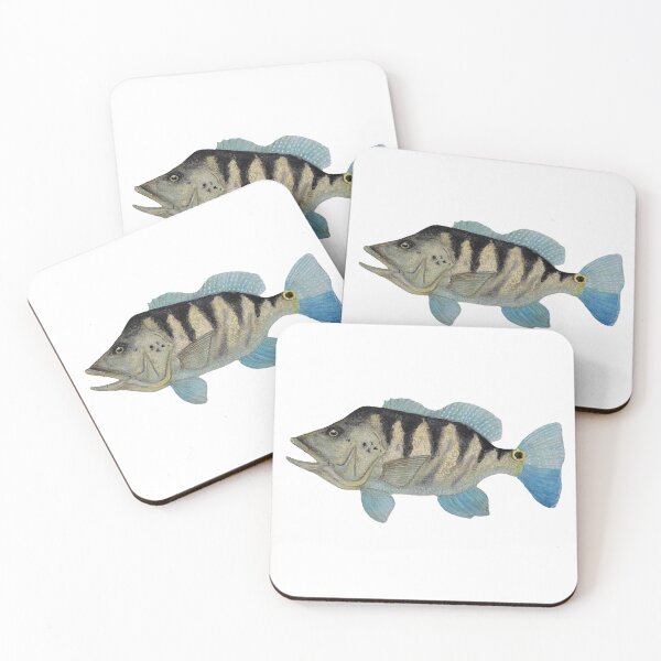 Item preview, Cichla paquiti fish watercolor designed and sold by cadin.darte.