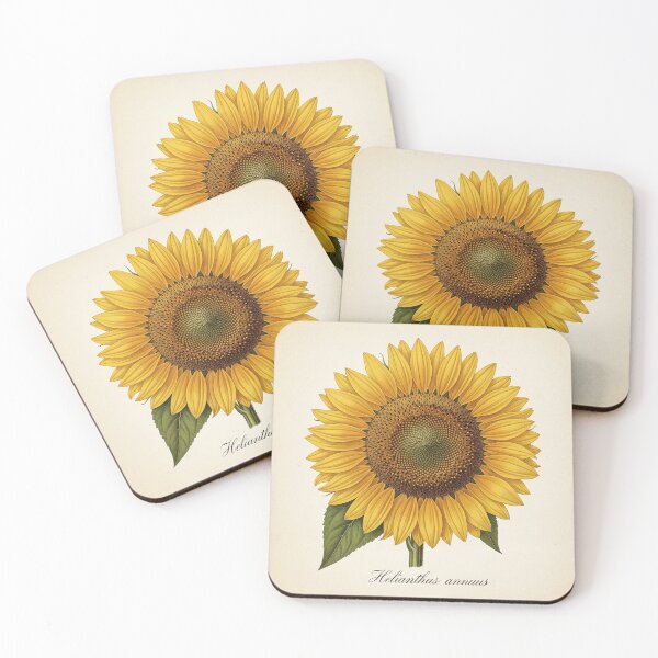 Item preview, Vintage Sunflower: Helianthus Annuus designed and sold by BloomandGrace.