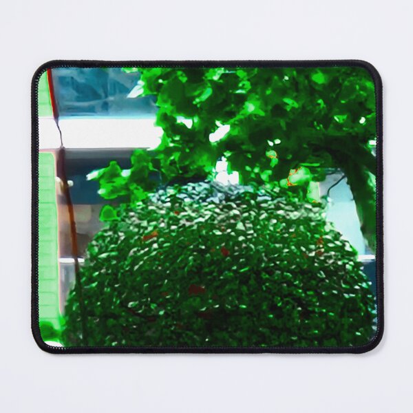 Item preview, Horticultural Dome designed and sold by ontological.