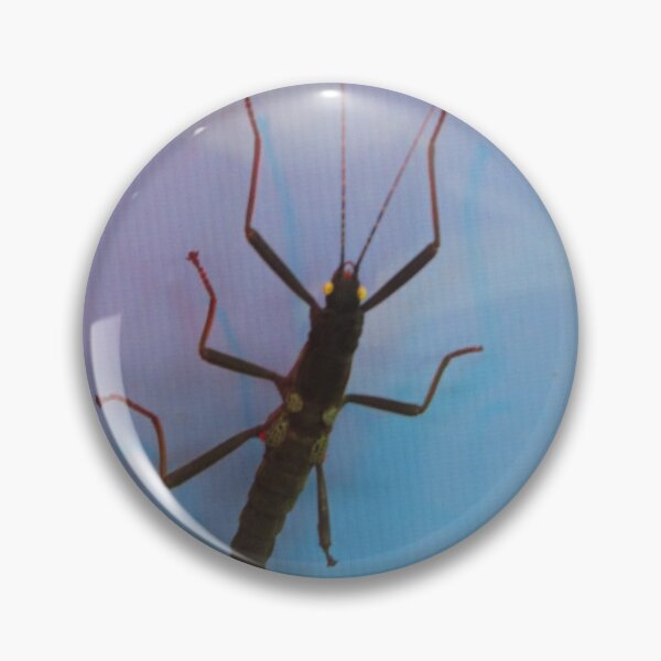 Item preview, Golden Eyed Stick Insect designed and sold by Sandra Willis.