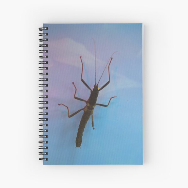 Item preview, Golden Eyed Stick Insect designed and sold by Sandra Willis.