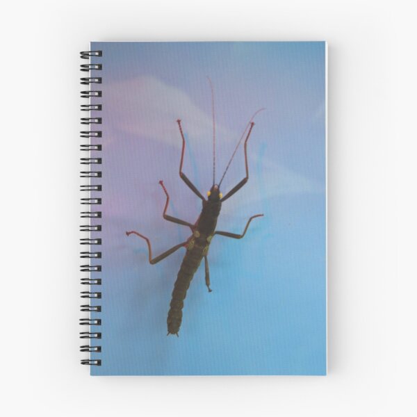 Item preview, Golden Eyed Stick Insect designed and sold by Sandra Willis.