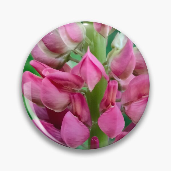 Item preview, Pink Lupine Bloom – Nature’s Symmetry Through the Lens designed and sold by GusiaTreasures.