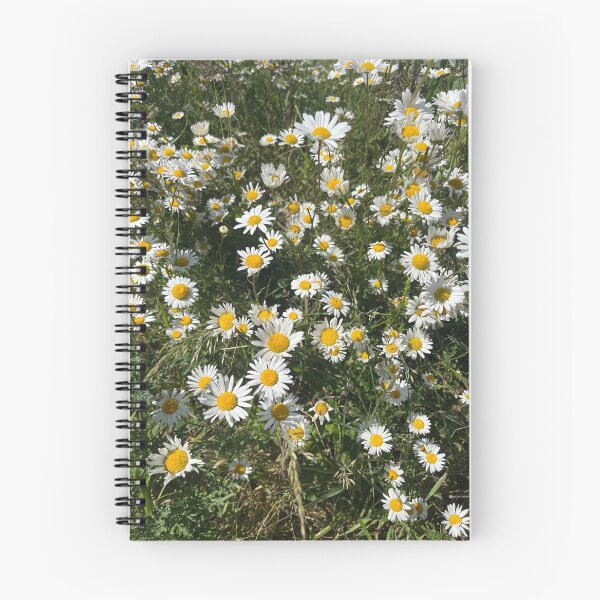 Aperçu de l'œuvre fleurs de marguerite créée et vendue par Neon2.