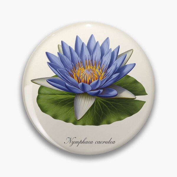 Item preview, Vintage Water Lily: Nymphaea Caerulea designed and sold by BloomandGrace.