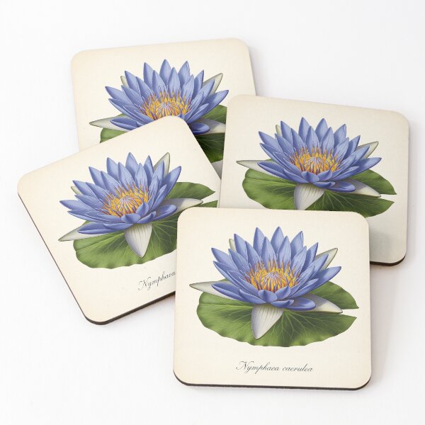 Item preview, Vintage Water Lily: Nymphaea Caerulea designed and sold by BloomandGrace.