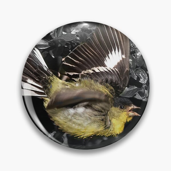 Item preview, Male Lawrence's Goldfinch in Flight designed and sold by CarolM.