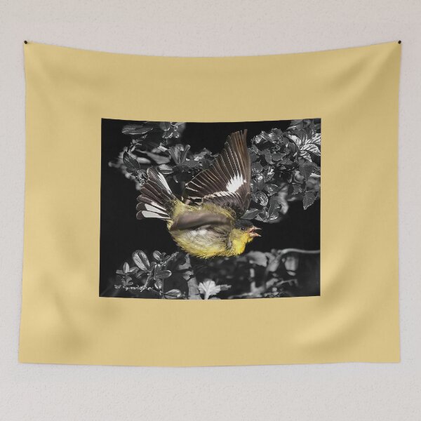 Item preview, Male Lawrence's Goldfinch in Flight designed and sold by CarolM.