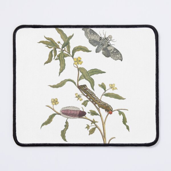 Item preview, Moth Life Cycle on Yellow Wildflower – Vintage Botanical Art designed and sold by newyorkwala.