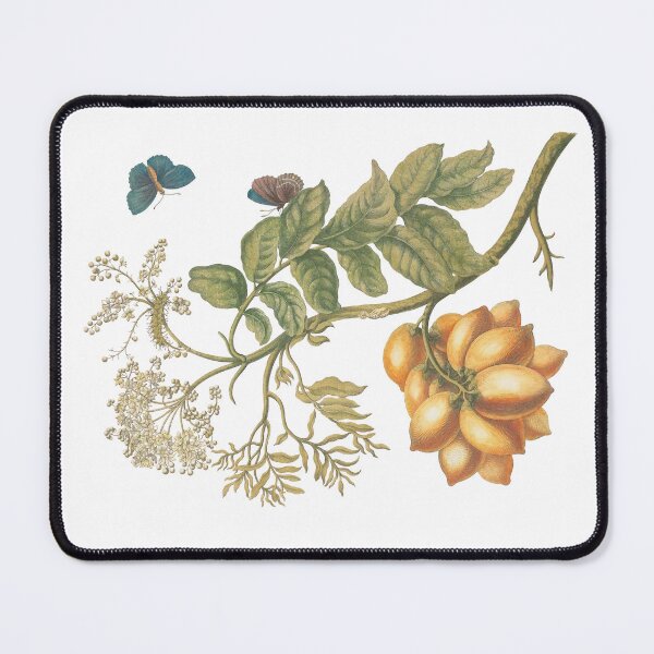 Item preview, Golden Fruit Cluster & Blue Butterflies – Vintage Botanical Art designed and sold by newyorkwala.