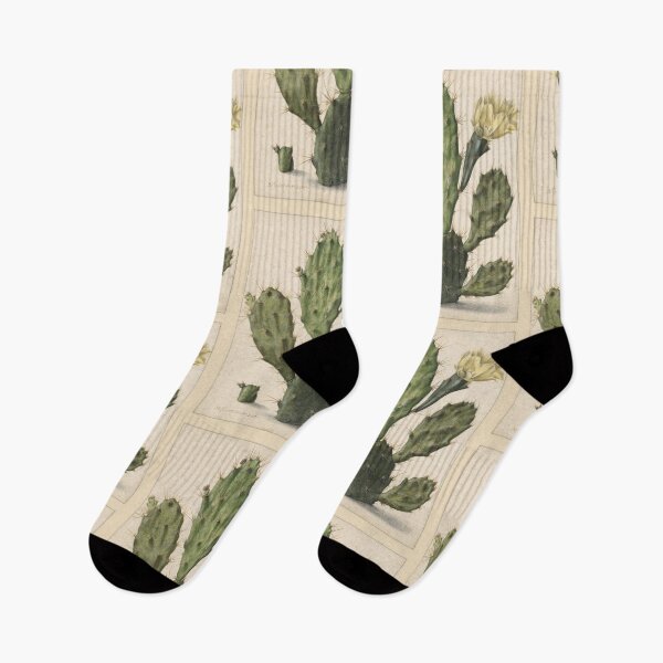 Item preview, Cactus de tuna en flor designed and sold by WillowNox7.