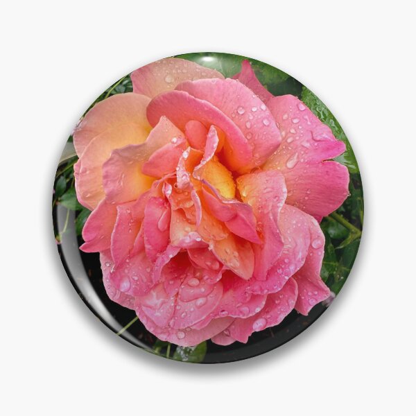 Item preview, A beautiful colorful rose in the rain designed and sold by Raineylanes.