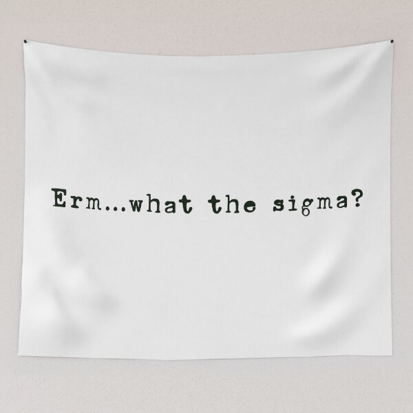 Item preview, Erm... what the sigma? typewriter trendy text for decor purposes designed and sold by EmeraldeaDesign.