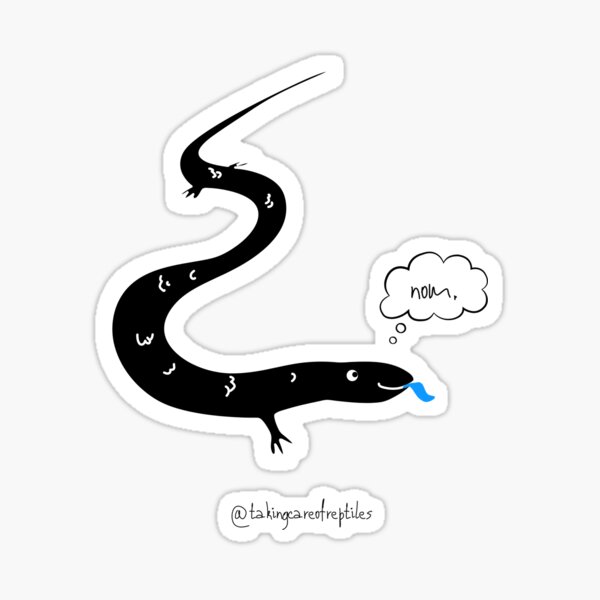 Artikel-Vorschau von Nom Bluey, designt und verkauft von @takingcareofreptiles.