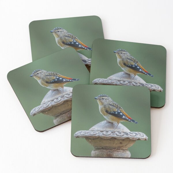 Item preview, Female Spotted Pardalote designed and sold by Nick Vertsonis.