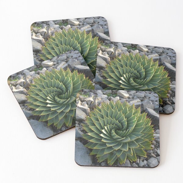 Item preview, Spiral Aloe designed and sold by LeoFio93.