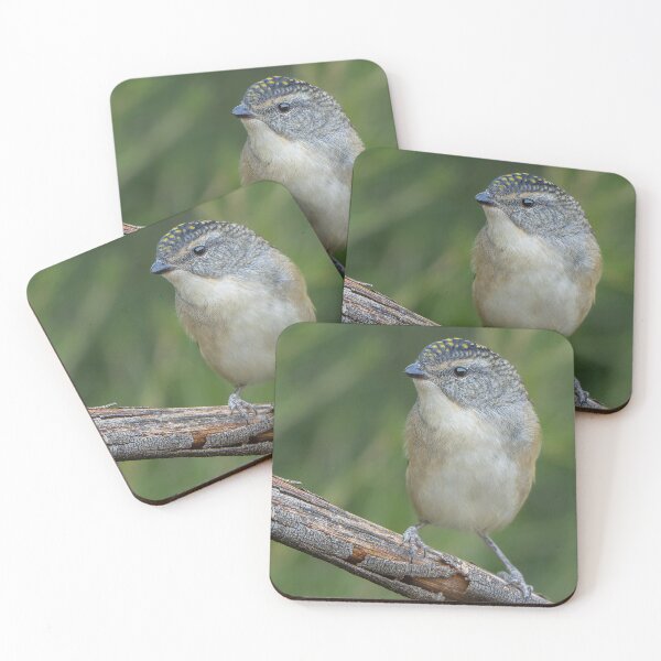 Item preview, Female Spotted Pardalote designed and sold by Nick Vertsonis.