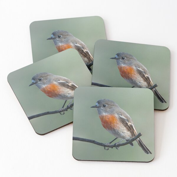 Item preview, Female Scarlet Robin designed and sold by Nick Vertsonis.