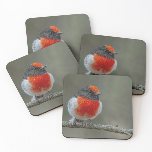 Item preview, Male Red Capped Robin designed and sold by Nick Vertsonis.