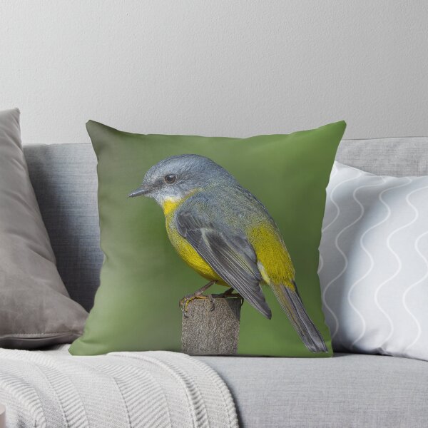Item preview, Eastern Yellow Robin designed and sold by Nick Vertsonis.