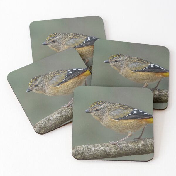 Item preview, Female spotted Pardalote designed and sold by Nick Vertsonis.