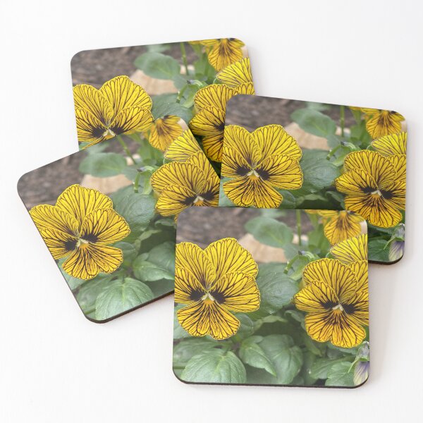 Item preview, Yellow striped pansies designed and sold by greentiger1.